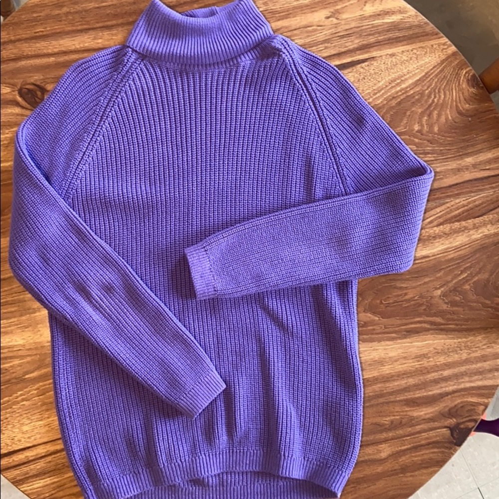 Zara Purple Knit Turtleneck
